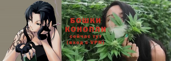 ECSTASY Абаза