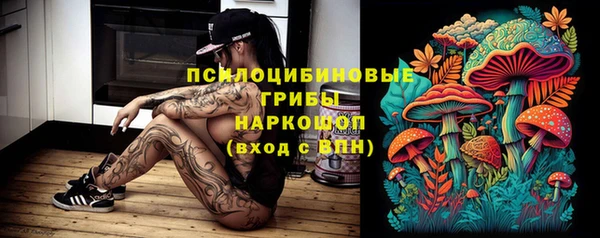 ECSTASY Абаза