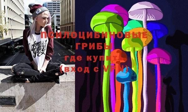 ECSTASY Абаза